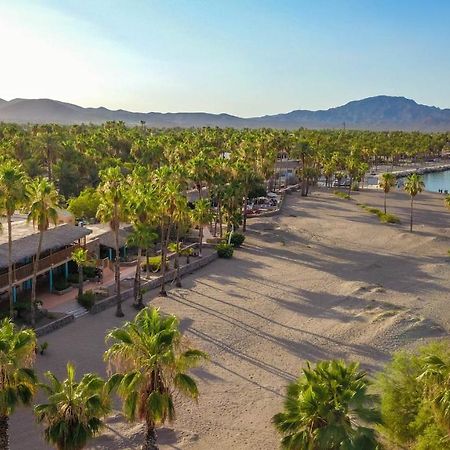 Hotel Oasis Loreto  Εξωτερικό φωτογραφία