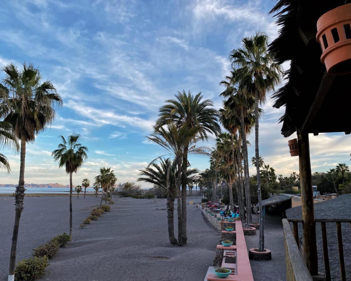 Hotel Oasis Loreto  Εξωτερικό φωτογραφία