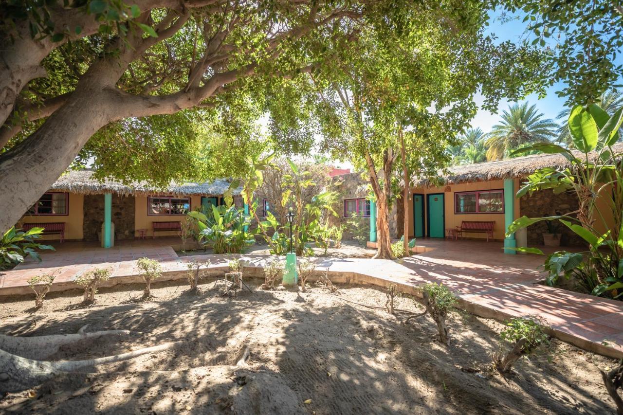 Hotel Oasis Loreto  Εξωτερικό φωτογραφία