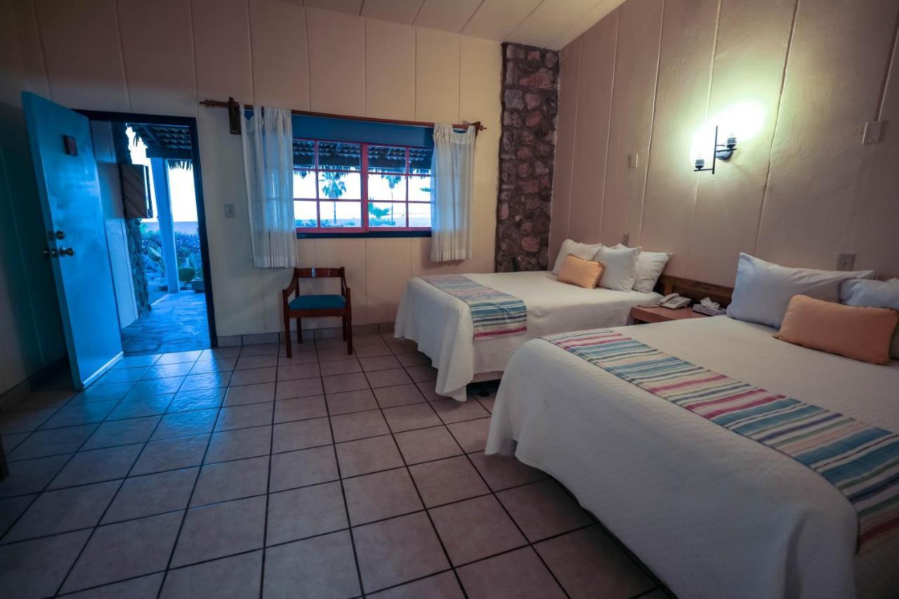 Hotel Oasis Loreto  Εξωτερικό φωτογραφία