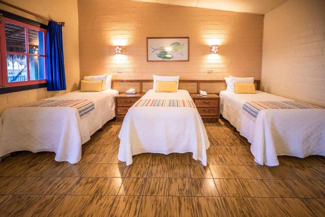 Hotel Oasis Loreto  Εξωτερικό φωτογραφία