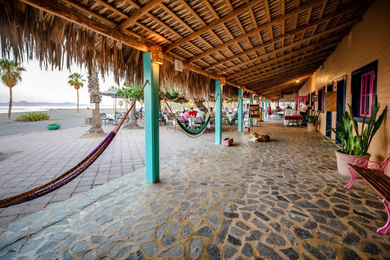 Hotel Oasis Loreto  Εξωτερικό φωτογραφία