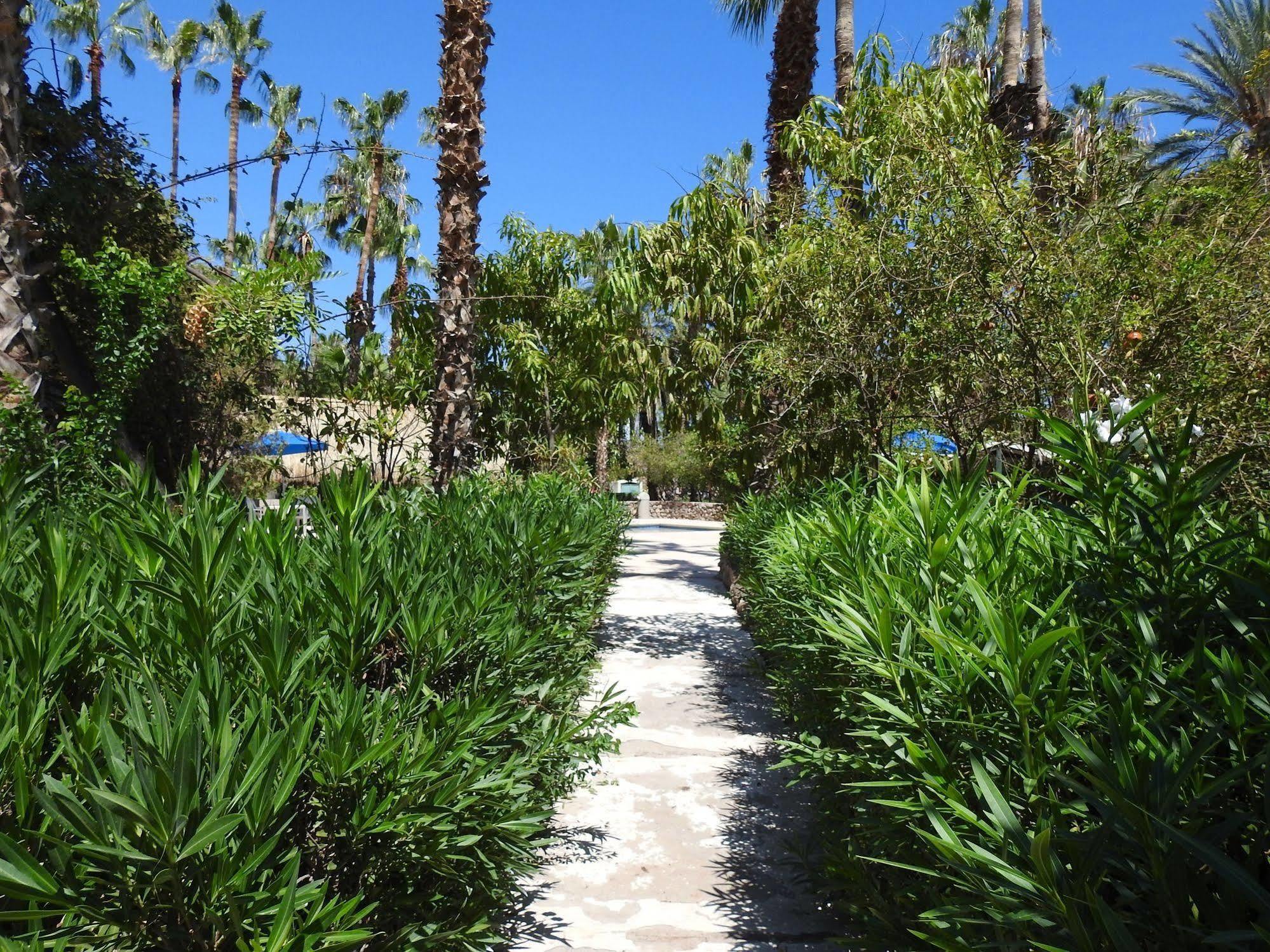 Hotel Oasis Loreto  Εξωτερικό φωτογραφία